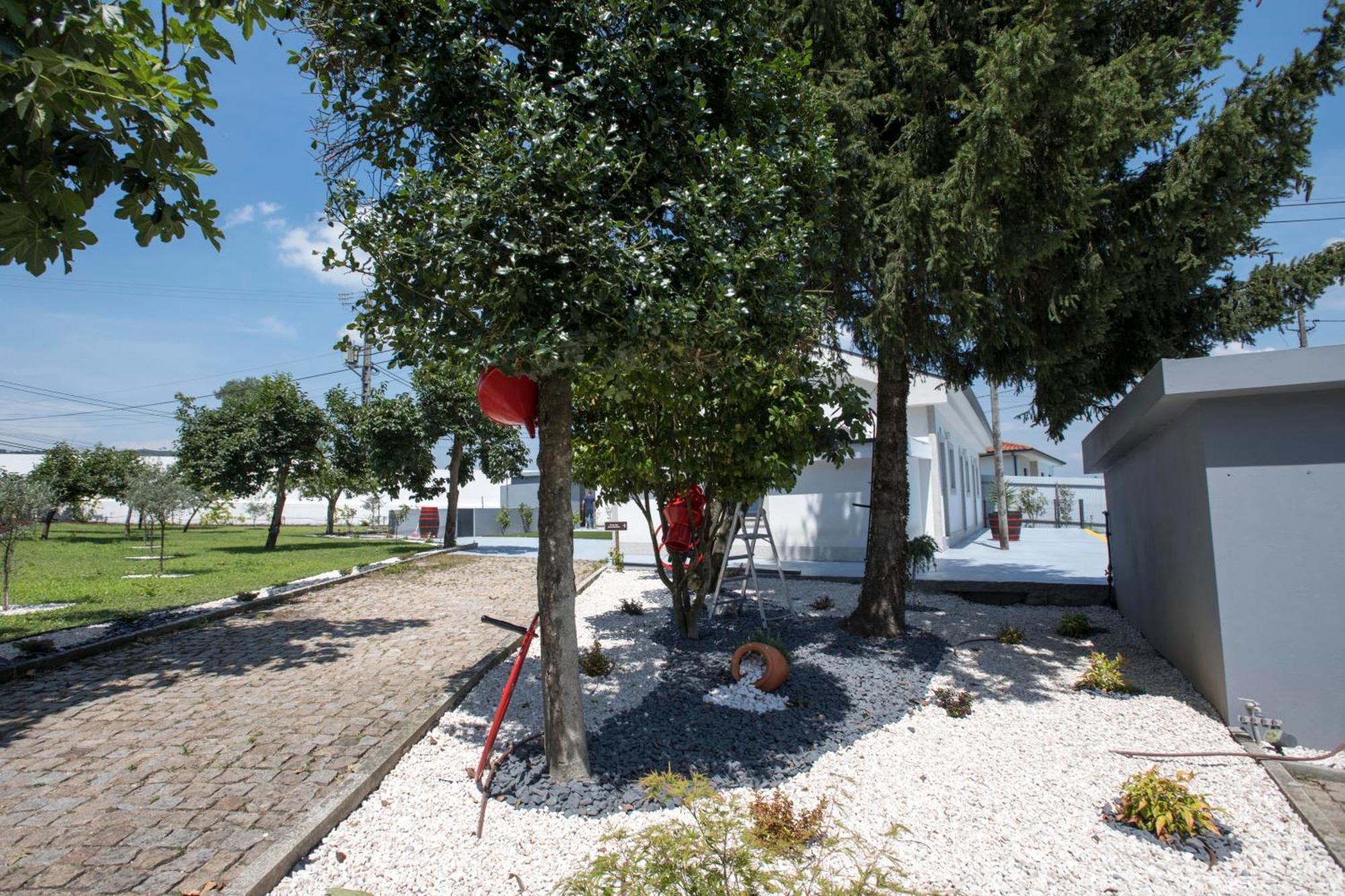 Quinta Do Pomar Pomar Farm Villa Briteiros Eksteriør billede